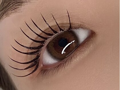 タム(TAM)の写真