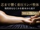 モミ(MOMI)の写真