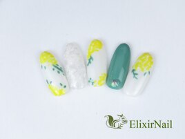 定額カジュアルコース