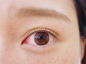 ティンク港南台 アイラッシュアンドネイル (Tink eyelash&nail)/まつげパーマ