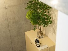 イロ 中目黒(ilo)/2.空間にこだわりたい方