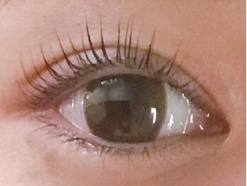 エクラ(ECLAT)の写真/《ラッシュリフトSP》地まつげを立ち上げてナチュラル上品なぱっちりeyeに変身!!毎朝のメイク時短に◎