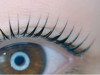 ケイラッシュ(K-LASH)/