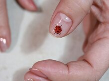 スイ(彗)/水星コース