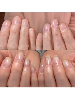 スティラ(Stila)/