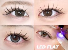 ホワイトアイ 新越谷(WHITE EYE)の雰囲気（LEDエクステ/アンドヘルシー/Lカール導入店♪）