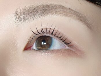 シエロアンドヒラリー/