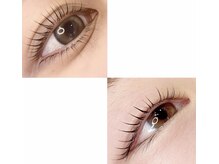 チュール アイ(tulle eye)