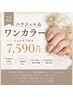 【平日限定/新規】パラジェルワンカラー(ジェルオフ無料) ¥7590