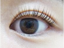 テイラー(Taylor)/ラッシュリフト　SONE