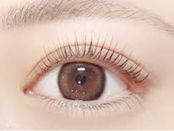 エスト ヘアーリラクゼーション(est Hair Relaxzation)の写真/当店の自慢は高い技術力と分かりやすく丁寧なカウンセリング!!まつげパーマデビューの方にも安心です♪