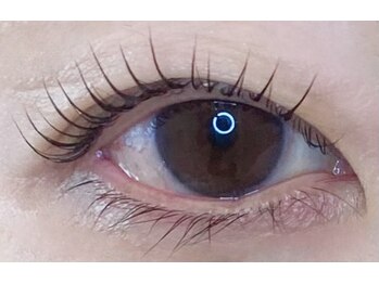 アイラッシュプラン メル 高槻JR駅前店(eyelash plan Mel)/韓国風まつ毛パーマ