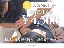 ピークスプラス 五反田(Peaks+)