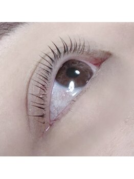 ルククギフ 岐阜(〇△□rukuku)/根本からしっかり立ち上げ☆