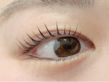 シャイン 船橋(Shine)/まつ毛パーマ