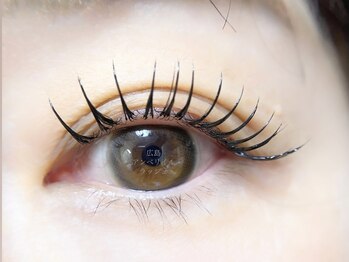 アンベリイルラッシュ(Embellir Lash)/LEDマツエク140本×まつげパーマ