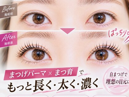 癒縁(ゆえん)の写真