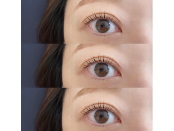 ベランシェ バイ ポリッシュ(BELLENCHE by POLISH)/パリジェンヌラッシュリフト