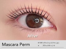 キンバリー 乃木坂店(KIMBERLY)/マスカラパーマ/ティントパーマ