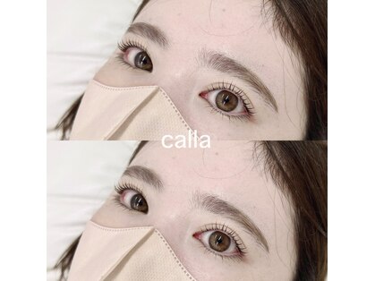 カラー(calla)の写真