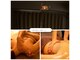 ズーズー(zzz)の写真