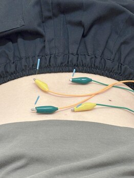 稲田堤鍼灸整骨院/