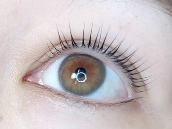 ヴォーレヴ(BEAUreve)/パリジェンヌラッシュリフト