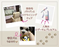 ジュエリーラッシュ(Jewelry Lash)