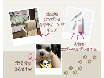 ジュエリーラッシュ(Jewelry Lash)の写真