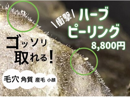 美肌脱毛専門店 パールプラス 大在店の写真