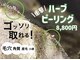 美肌脱毛専門店 パールプラス 大在店の写真