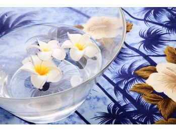 ハワイアンフォレストSpa 前橋店/ハワイのパワーが詰まった店内