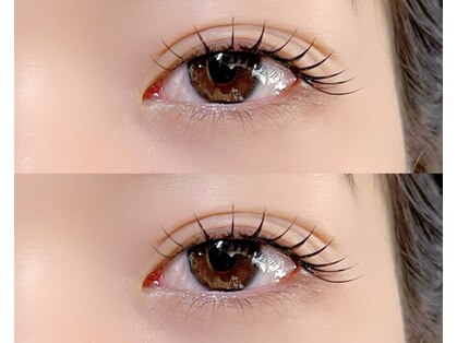 ネリネ(Nerine)の写真