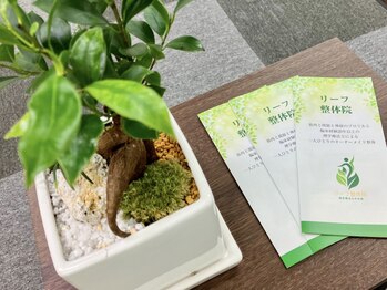 リーフ整体院/ご予約優先!