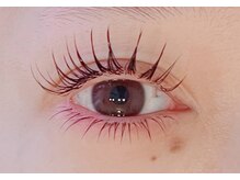 サロン ド モエ(Salon de Moe)/マツエク上下