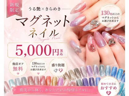 エース(Ace)の写真