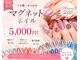 エース(Ace)の写真