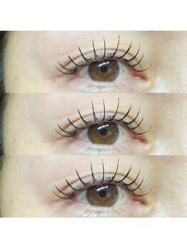 アイラッシュ ベイビーステップ(Eyelash Baby step)/フラットラッシュ140本