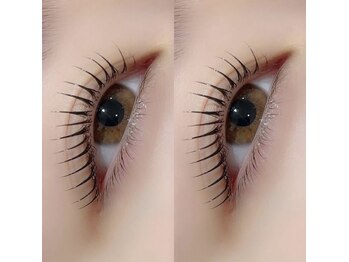 ビューティーラッシュ 京橋店(BEAUTY LASH)/パリジェンヌラッシュリフト (M)