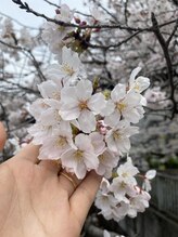 ハナローズネイル 新宿店(Hana Rose Nail)&nbsp;ル シ