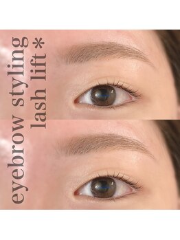 カミーノ(CAMINO)/