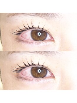 シーペアー(Sea pear)/メーテルカール