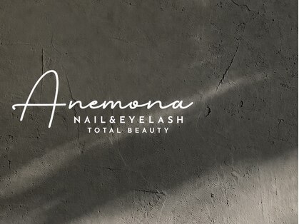 アネモナ(ANEMONA)の写真