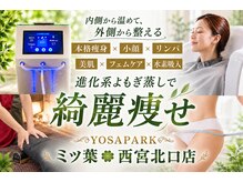 ヨサパーク ミツバ(YOSA PARK)