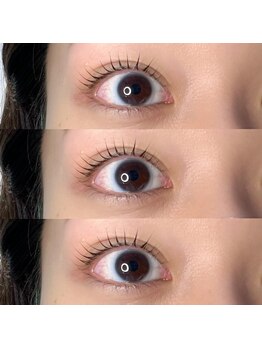 ジョリー(Jolie)/