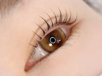 アイラッシュ モコ(eyelash moco)/ラッシュリフト・まつげパーマ
