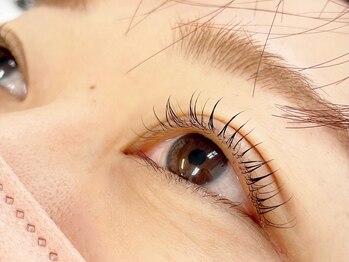 リボン(RIBBON)/ラッシュリフト