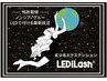 レディラッシュ【LEDエクステ】フラット100本（アイシャンプー付き）