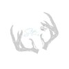 シュティア(Stier)のお店ロゴ