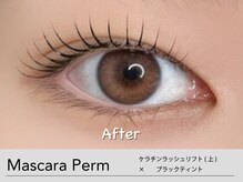 キンバリー 乃木坂店(KIMBERLY)/マスカラパーマ/ティントパーマ